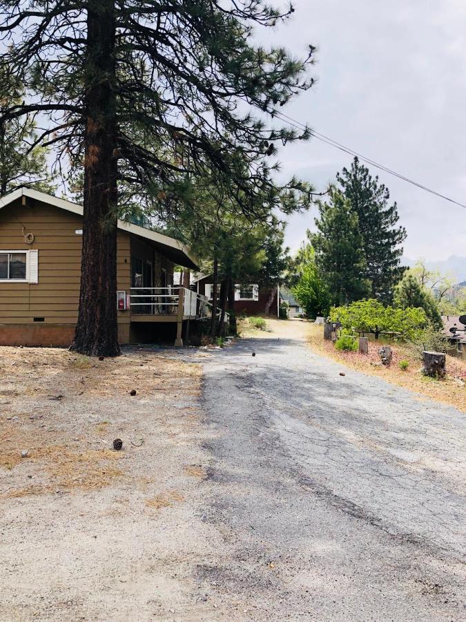 Mountain View Cabins Wrightwood Eksteriør billede