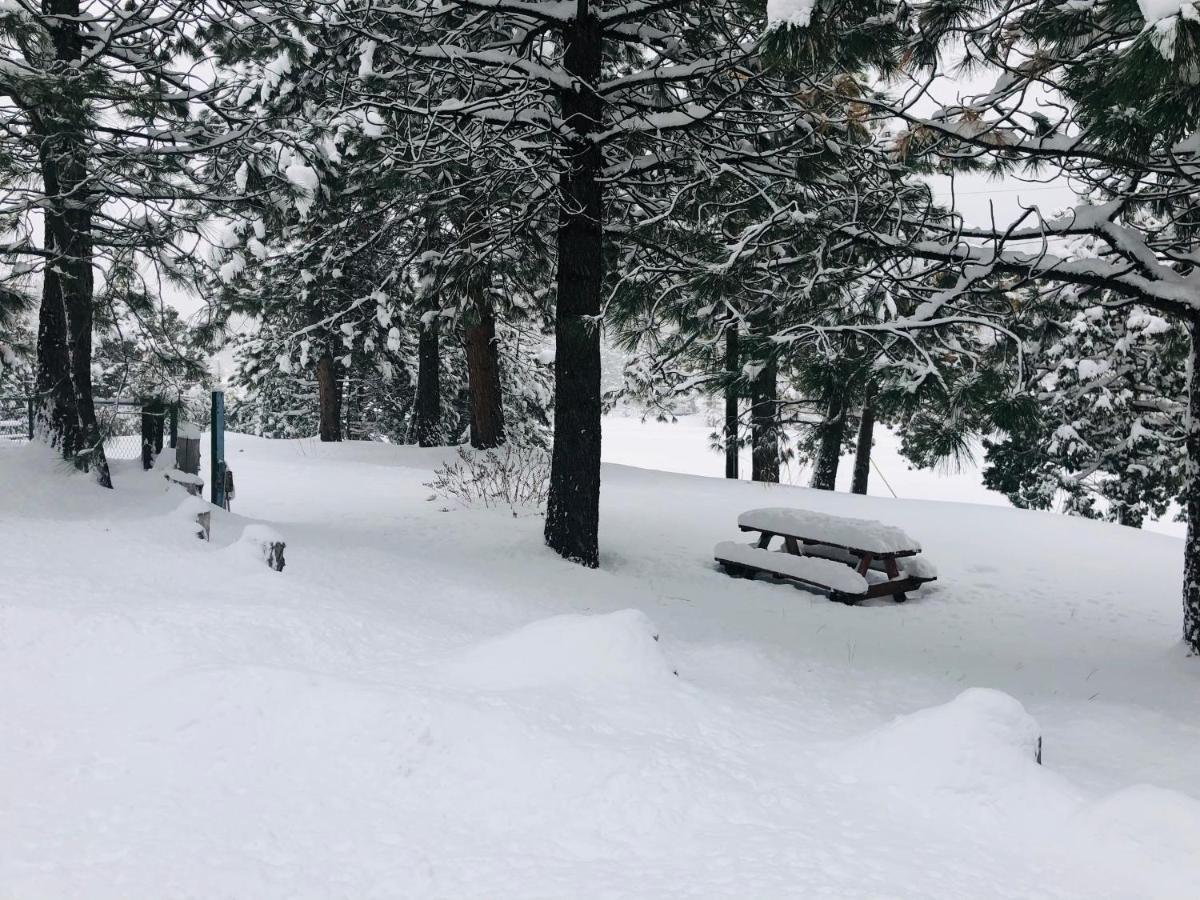 Mountain View Cabins Wrightwood Eksteriør billede